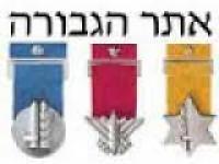 מחקר הגבורה  - דו"ח התקדמות מחקר הצל"שים והעיטורים, ינואר 2025