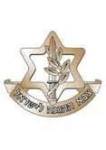 אתר הגבורה - מבוא והגדרות - חטיבת כרמלי - מלחמת יום הכיפורים - חטיבת גולני - מלחמות ישראל - צל"ש מח"ט - צל"ש מ. אוגדה - צל"ש מפקד אוגדה - צל"ש אלוף - צל"ש הרמטכ"ל - עיטור המופת - עיטור העוז - עיטור הגבורה - עיטורים - צל"שים - אתר הגבורה - צלשים